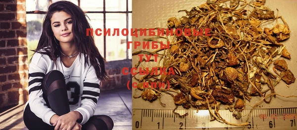 a pvp Арсеньев