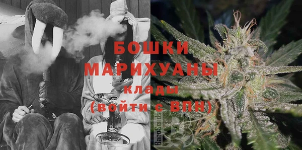 шишки Баксан