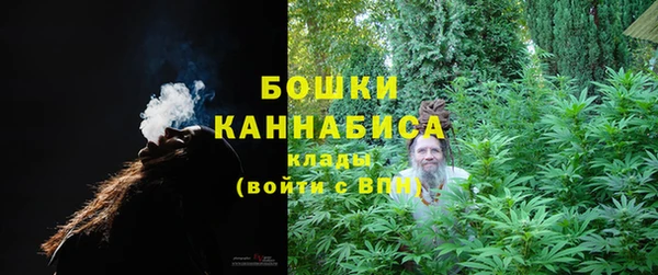 шишки Баксан