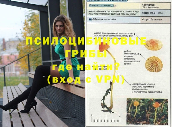a pvp Арсеньев