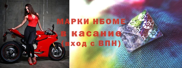 шишки Баксан